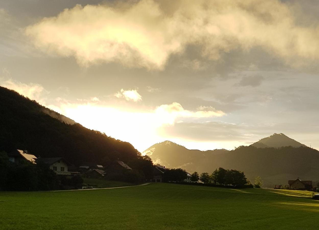 Hof Zur Steinwaend Bed & Breakfast Micheldorf in Oberösterreich Exterior foto